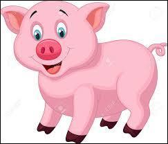 Quiz Animaux