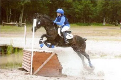 Quelle est cette discipline ?