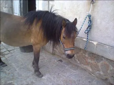 Quelle est cette robe ?