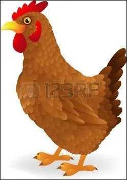 Que représente l'image ?