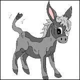 Qu'est-ce que c'est ?