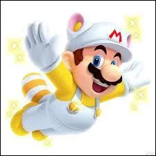 Comment s'appelle le costume de Mario ?