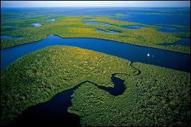 Où se trouvent les Everglades en Amérique ?