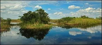 Quel est le climat des Everglades ?