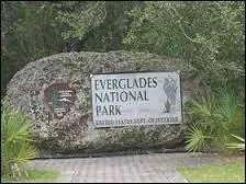 Les Everglades sont :