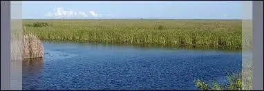 Quelle est la grande ville qui se trouve à côté des Everglades ?