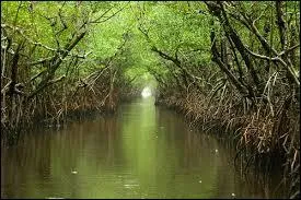 Quand le parc a-t-il été créé ?