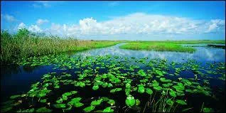 Combien de visiteurs y a-t-il en moyenne en une année ?