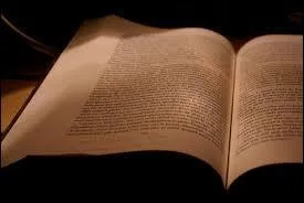 « Le journal nouveau tend à mettre à la porte la littérature ». Qu'en pensez-vous ?