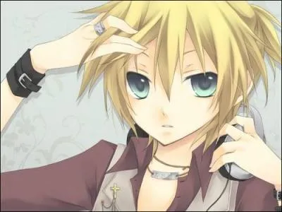 Quel est le nom de famille de Len ?