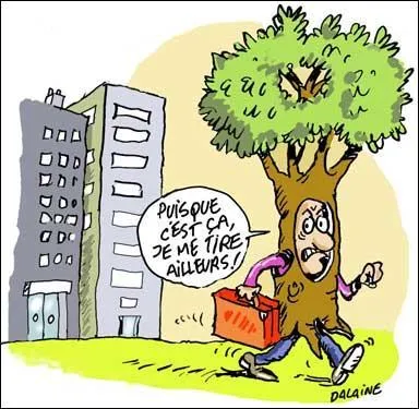 Qu'est-ce qui a amorti la chute de l'individu ?