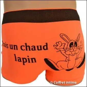 Que voyait-on par les trous de la culotte de l'individu ?