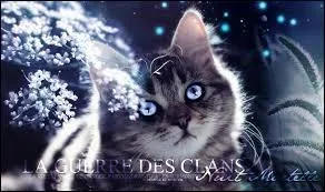 Quel est le nom du clan ?