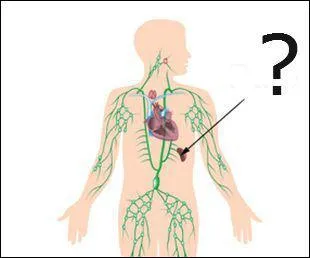 Le mot commence par : ba