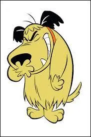 Quel est le nom du chien dans "Les Fous du volant" ?