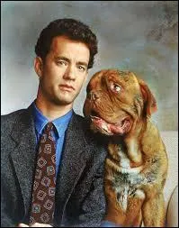 Quel est le nom du dogue de Bordeaux adopté par Turner (Tom Hanks) dans un film de 1989 ?