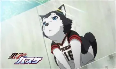 Comment s'appelle le chien de Kuroko ?