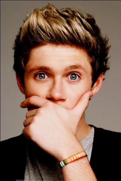 Selon les rumeurs, Niall serait en couple avec ...
