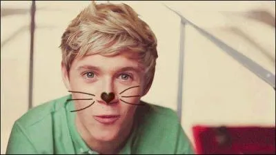 Quelle est la date de naissance de Niall ?