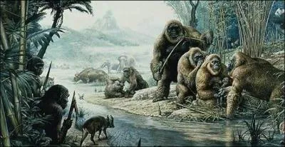 Et évidemment la 3ème cause est plus facile à pointer du doigt et c'est...