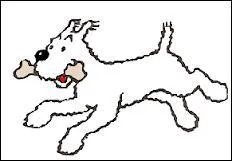 Astérix - Comment le chien d'Obélix se nomme-t-il ?