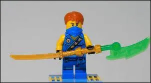 Comment s'appelle le ninja bleu ?
