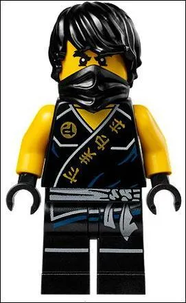 Comment s'appelle le ninja noir ?