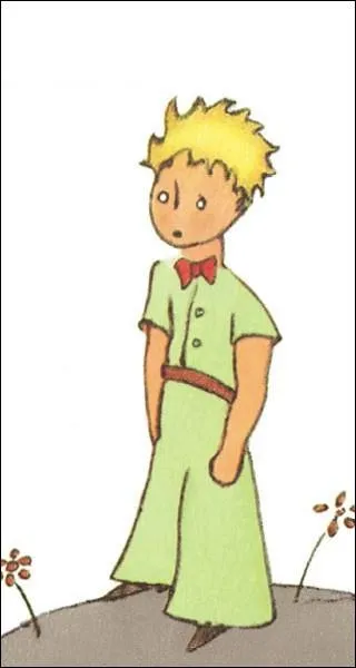 Qui a surnommée Loic Nottet comme "Le Petit Prince"