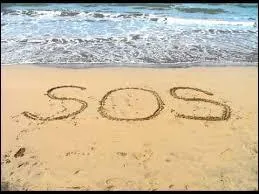 Quelle rappeuse a sorti un album appelé "S.O.S" en 2009 ?