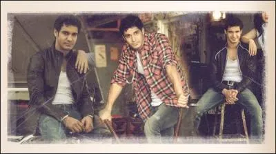 Qui est l'acteur qui joue Walter ?