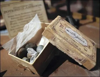 Où trouve-t-on un bézoard ?