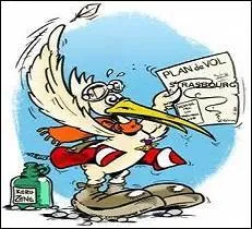 Quel nom porte-t-il ?