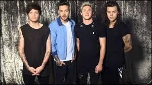Qui des One Direction est depuis peu en couple ?