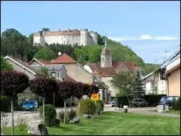 Labellisée "Petites Cités de caractère", la commune Haut-Saônoise de Ray-sur-Saône se situe en région ...