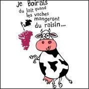 Novembre : Qui a dit : ''Je boirai du lait le jour où les vaches mangeront du raisin ! ''