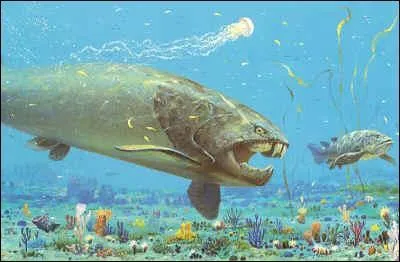 La caractéristique d'un gnathostome est la présence :