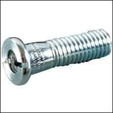 Comment appelle-t-on cette vis ?