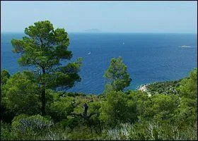 Où trouve-t-on une île du nom de "Vis" ?