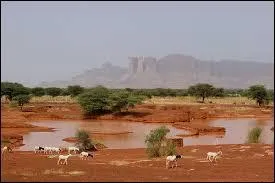Le Mali est en Afrique.