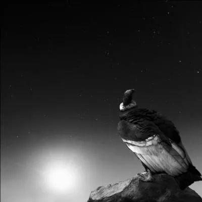 On peut dire de lui qu'il plane à 3000, moteur arrêté !