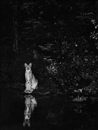 Là, je ne te dirai rien de plus !