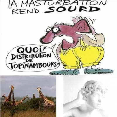 Comment se nomme donc ce magazine dans lequel Reiser écrit à l'encre d'un humour grinçant ?