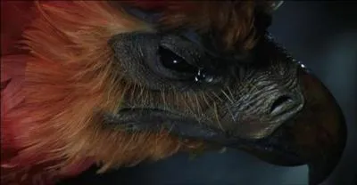 Qui envoie des choses à Harry pour l'aider ?