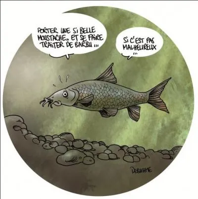 Trouvez mon nom grâce à ce poisson !