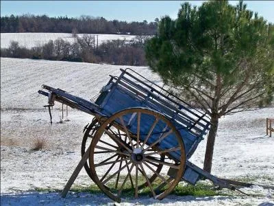 Couleur toujours utilisée pour peindre les contrevents en bois, comme sur l'île de Ré, c'est le...