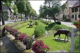 Nous nous promenons dans les rues de Hirtzbach. Commune alsacienne en plein cur du Sundgau, elle se situe dans le département ...