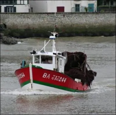 Le "Guazen Bethi" ne navigue plus aujourd'hui, mais il arborait les couleurs traditionnelles de son "pays" : "BA" qui est la ville de ------- (Complétez.)