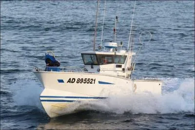 Le fileyeur "Euredenn" (AD) fonce autant qu'il peut pour arriver ------ (Complétez.)