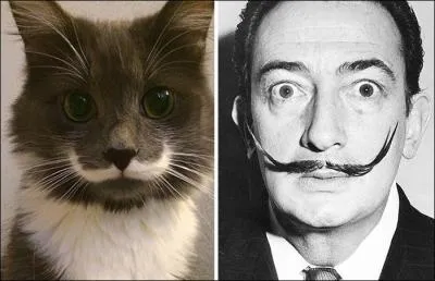 Tout est dans la longue moustache ! On y retrouve le style du peintre espagnol, j'ai nommé :