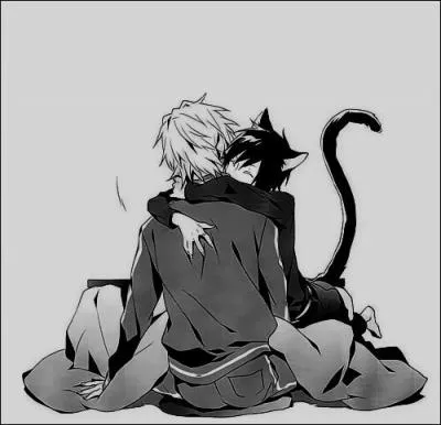 Quel habitant du manoir est un chat affectueux et câlin ?